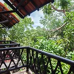 Charming Authentic Mexico-Walk To Beach & 5Th Ave!