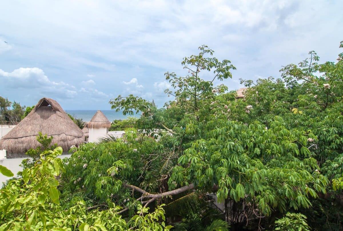 Charming Authentic Mexico-walk To & 5th Ave! Сasa de vacaciones Playa del Carmen
